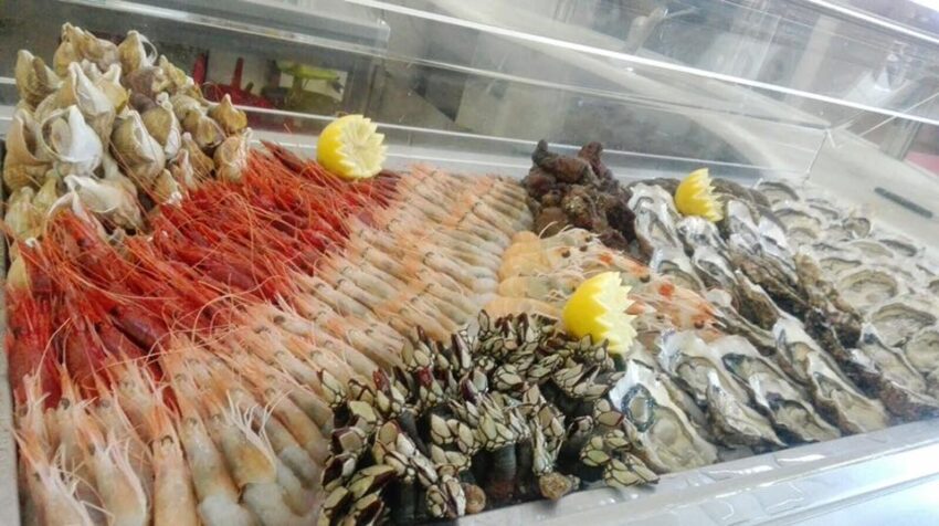 vivo dal mare alla padella capalbio
