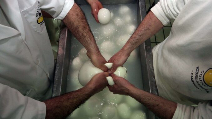 guerra della mozzarella