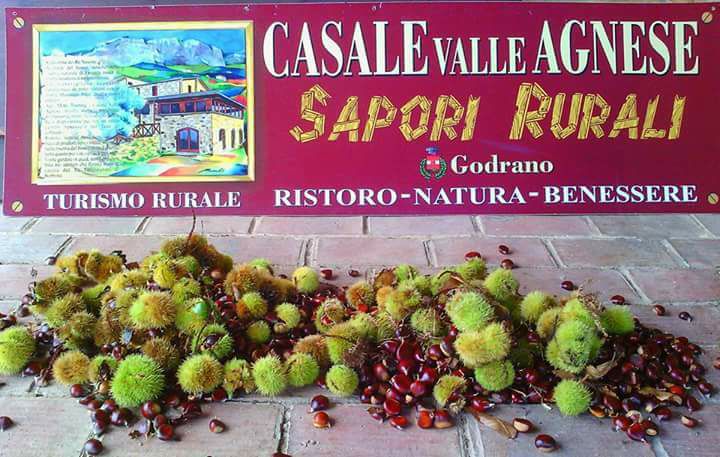sagresicilia2017-8