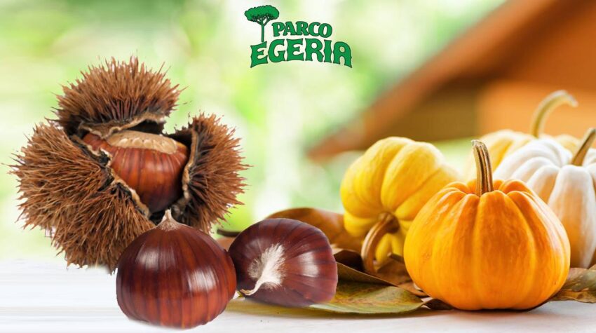 sagra della castagna parco egeria