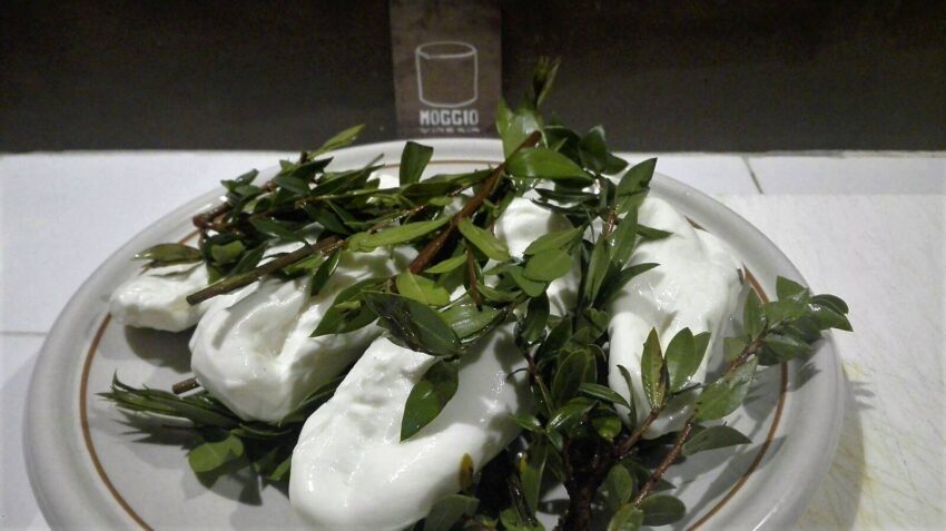 Moggio Roma mozzarella mortella