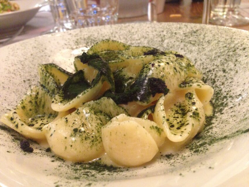 Litro Cucina conchiglie plancton