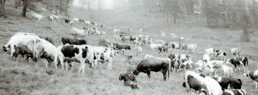 eventi food roma luglio 2018