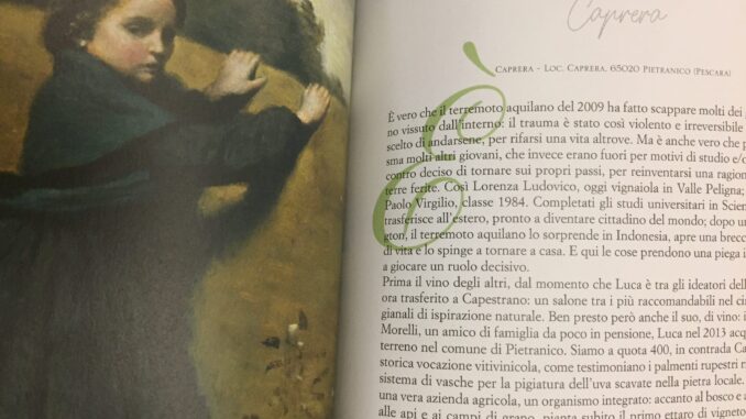 Vini artigianali naturali