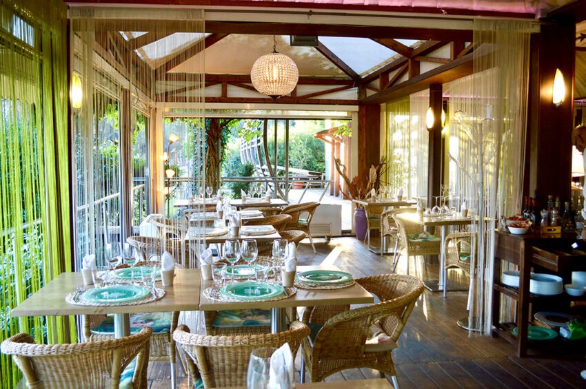 zenzero biorestaurant roma