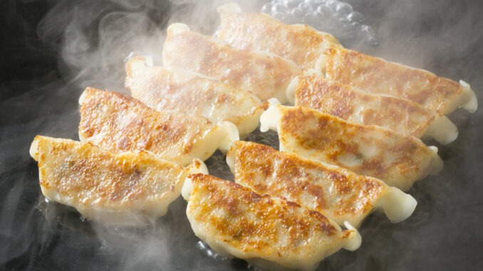 leo's gyoza factory roma ostiense