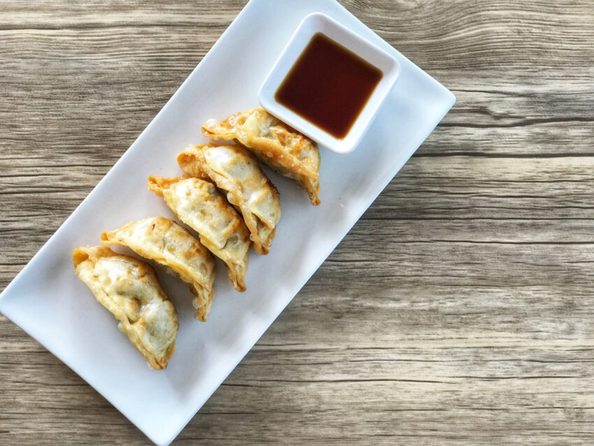 leo's gyoza factory ostiense