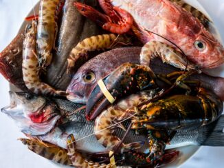 pesce santucci a roma