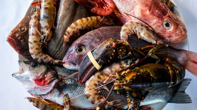 pesce santucci a roma