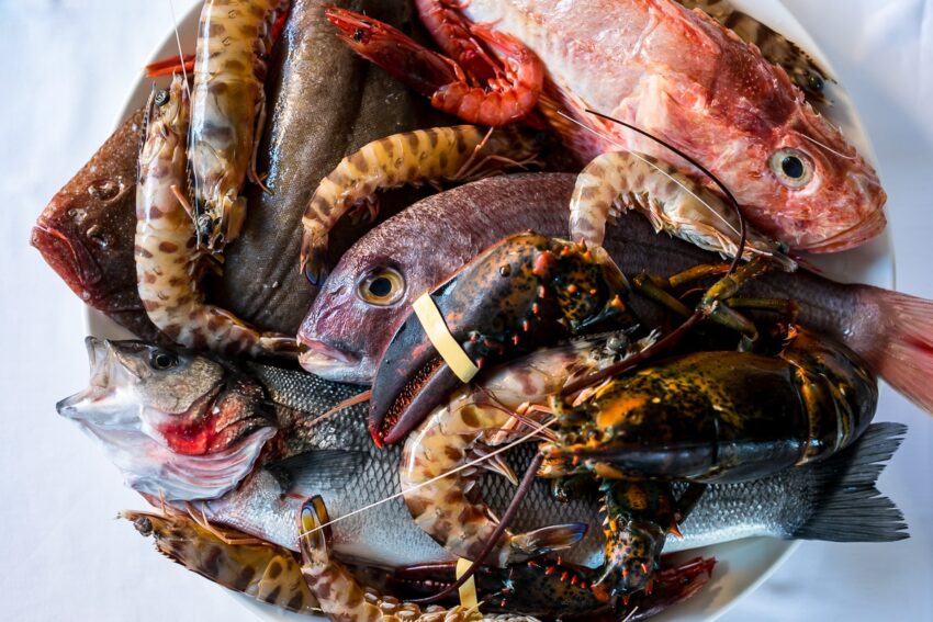 pesce santucci a roma