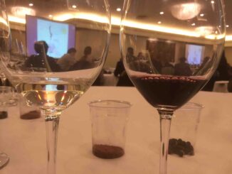 Corso di sommelier Fis domande esami