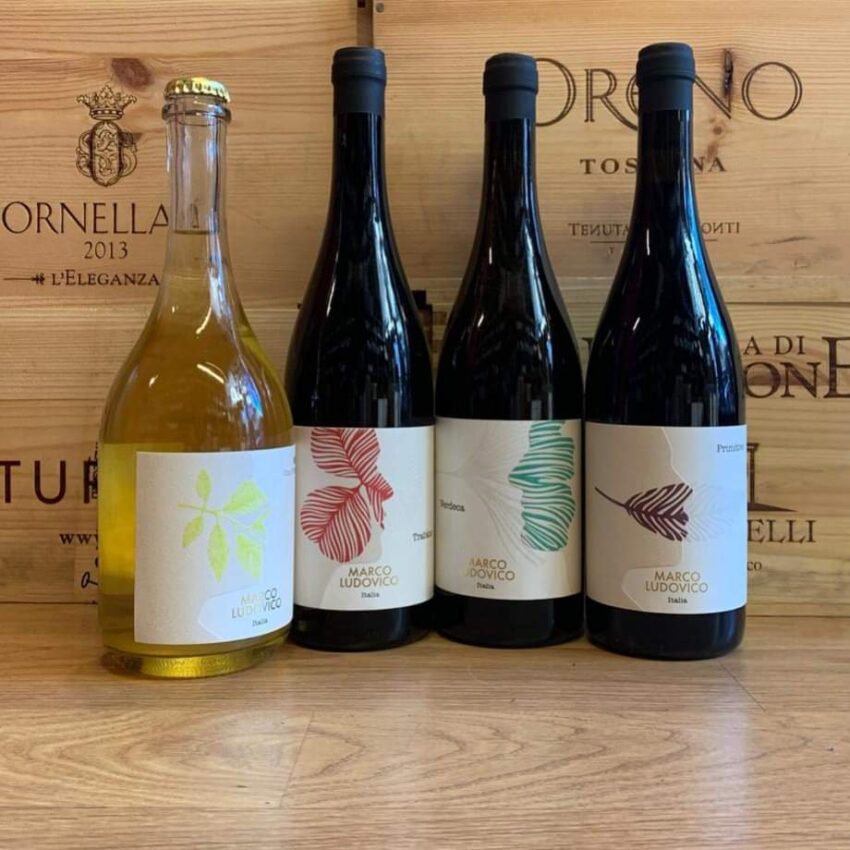 Vinoteca Nazionale