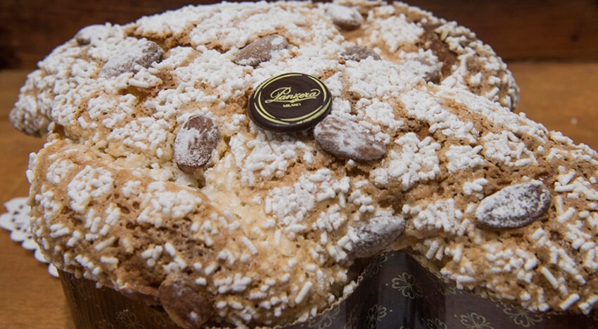 La colomba di Panzera classica o al cioccolato