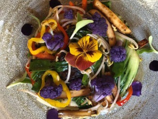 Ristorante Cinese Wonton a Milano