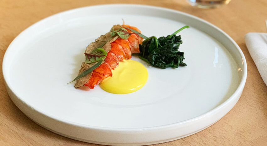 Orma Bruna per il Capodanno 2020