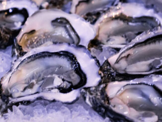 il menu di Oyster Bar