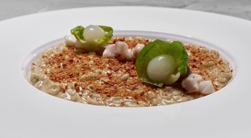 Acquada Milano by Sara Preceruti