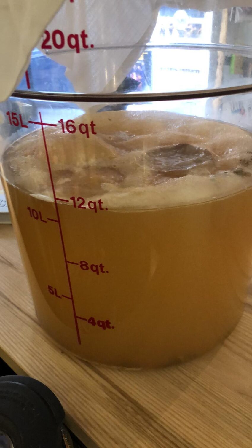 kombucha aromaticus