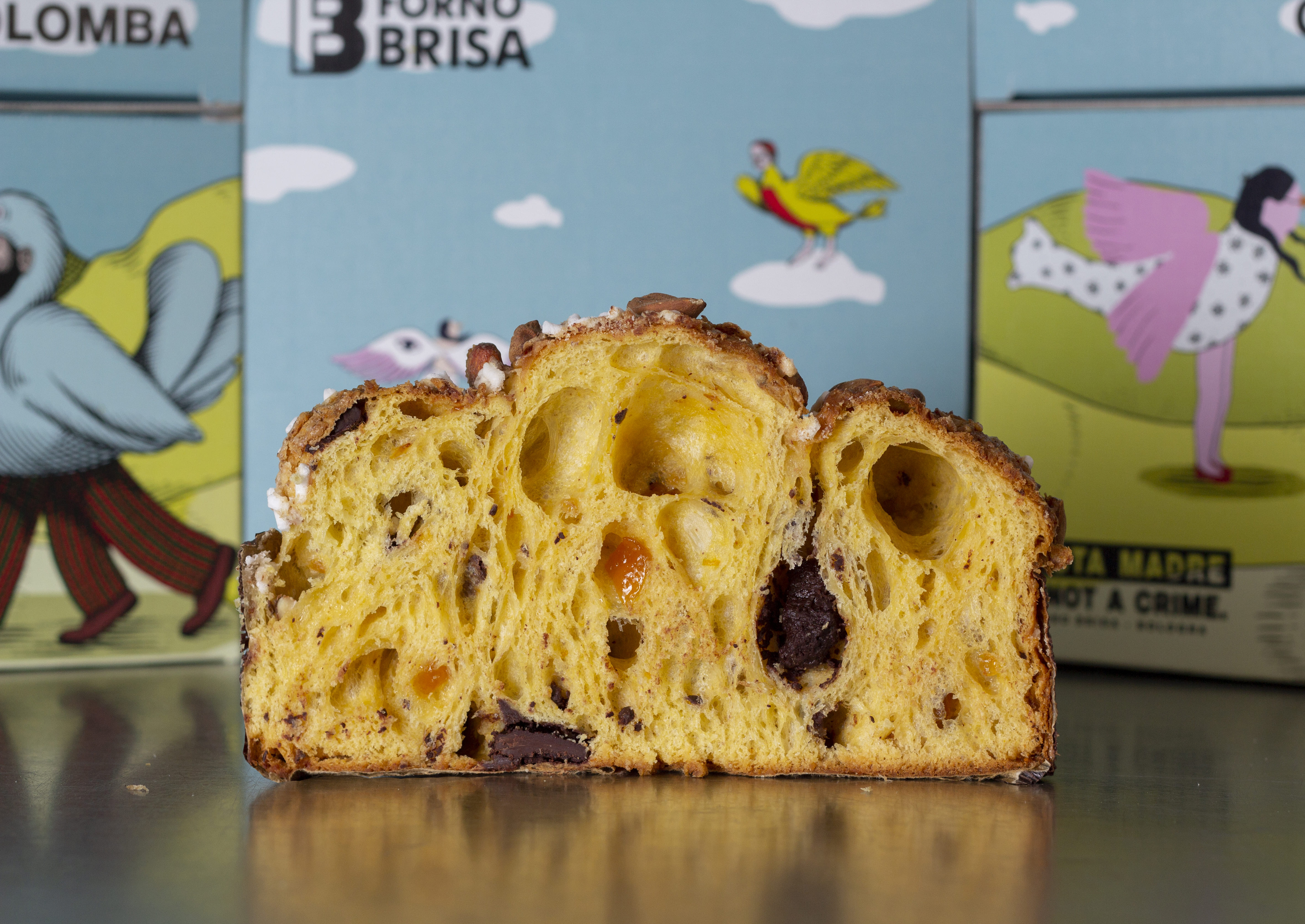 colomba forno brisa