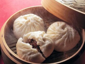 Dumpling Bar a Roma delivery e take away
