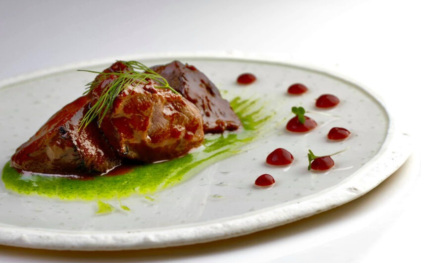 vivo bologna