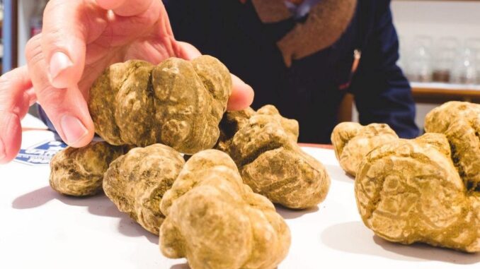 Gargani Parioli