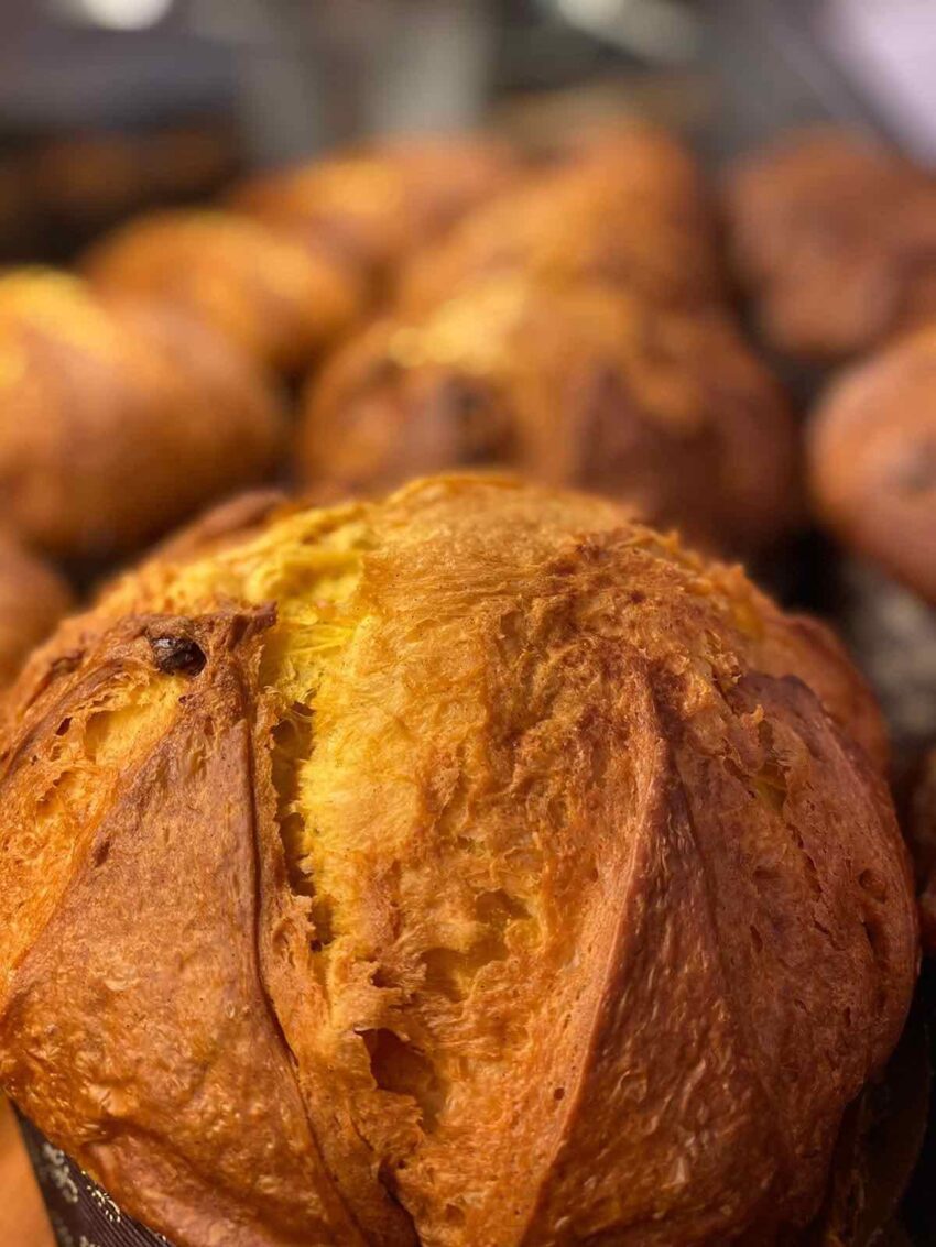 panettone marè roma