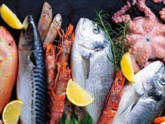 Pescheria Consoli Roma