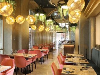 Sophia Loren a Firenze