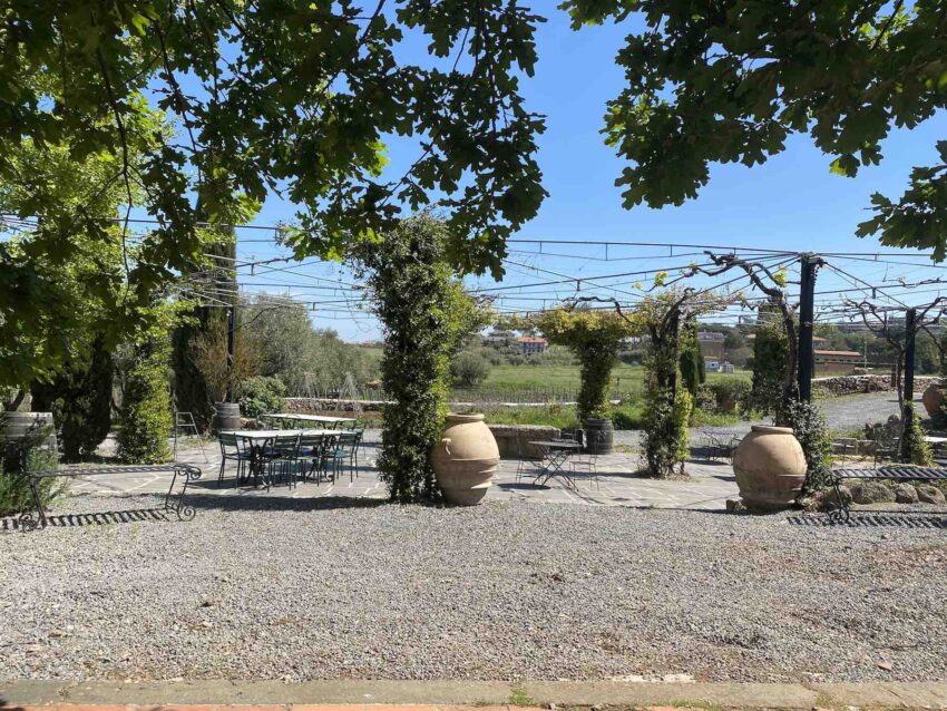 Cantine Santa Benedetta