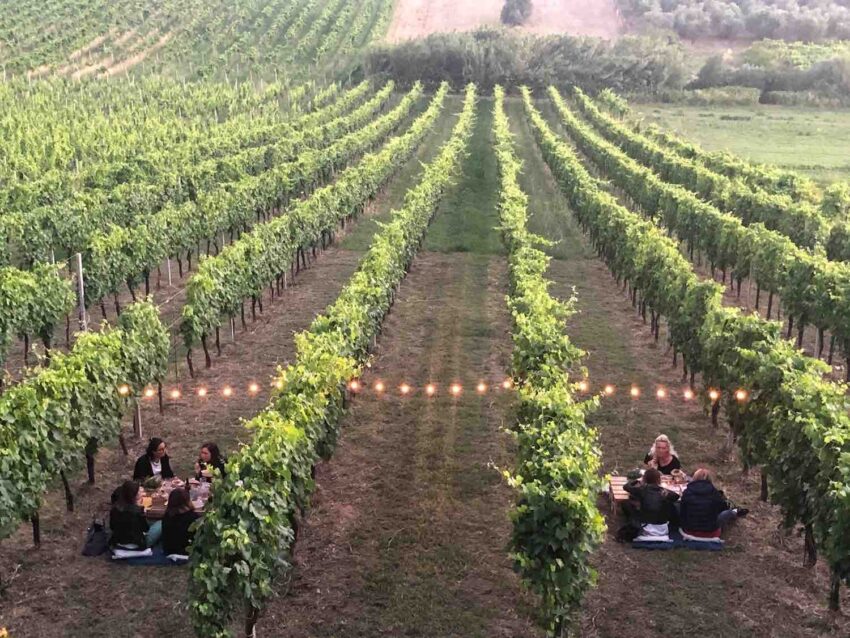 Tenuta Santi Apostoli Frascati