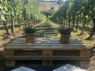 Tenuta Santi Apostoli Frascati