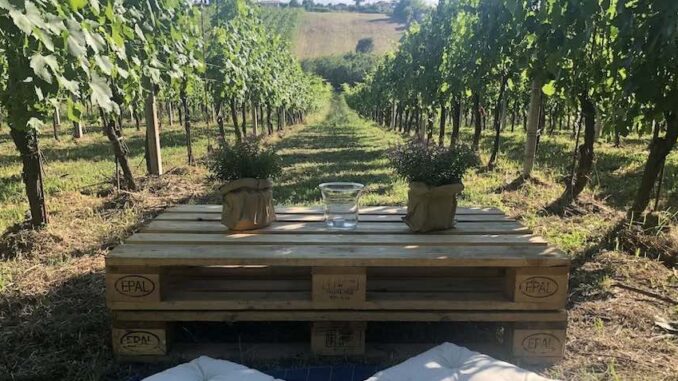 Tenuta Santi Apostoli Frascati