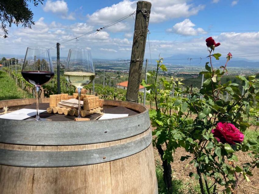 villa simone, monte porzio catone, castelli romani, roma, aperitivo in vigna, cantine dei castelli romani