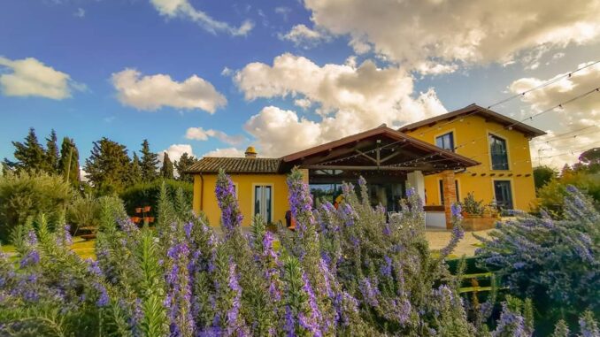 erba regina, country house, castelli romani,frascati, erbe aromatiche, erbe spontanee, raccolta delle erbe, cucina con le erbe, tuscolo, roma, regione lazio