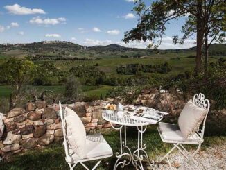 lupaia torrita di siena