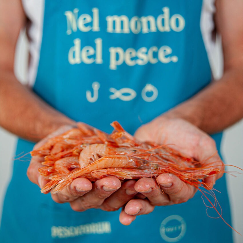 pescatorum milano