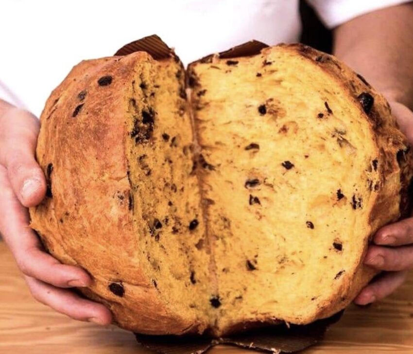 Lievito pizza pane
