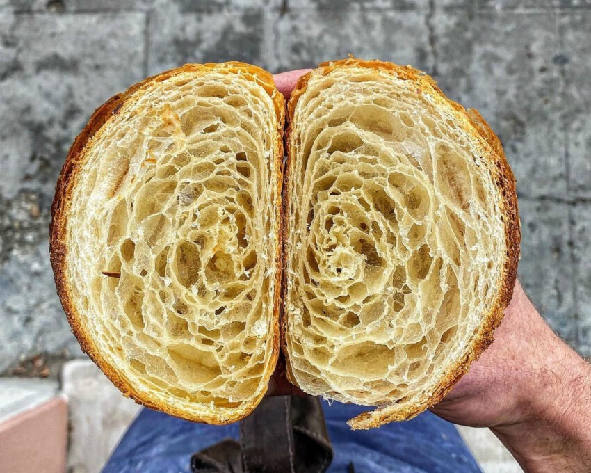 madre bologna