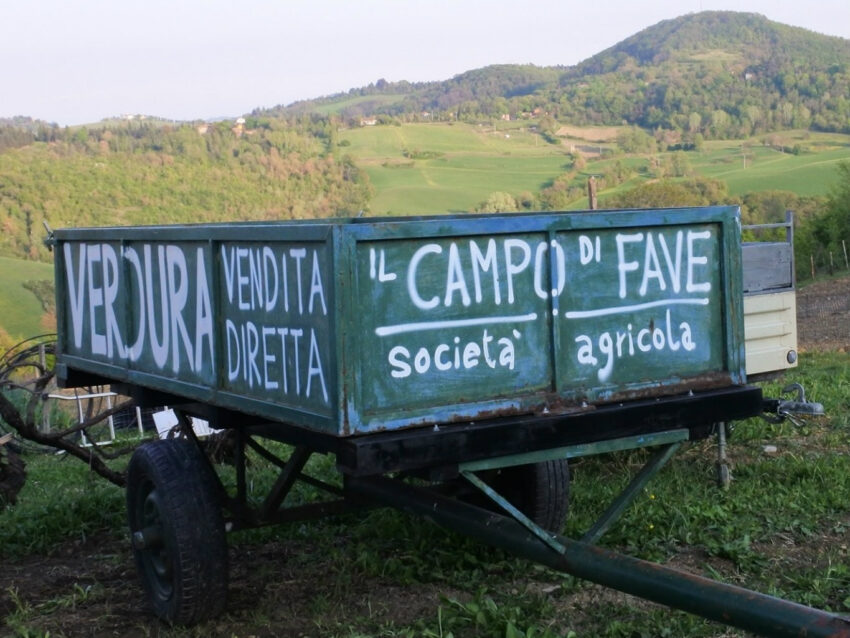 il campo di fave bologna