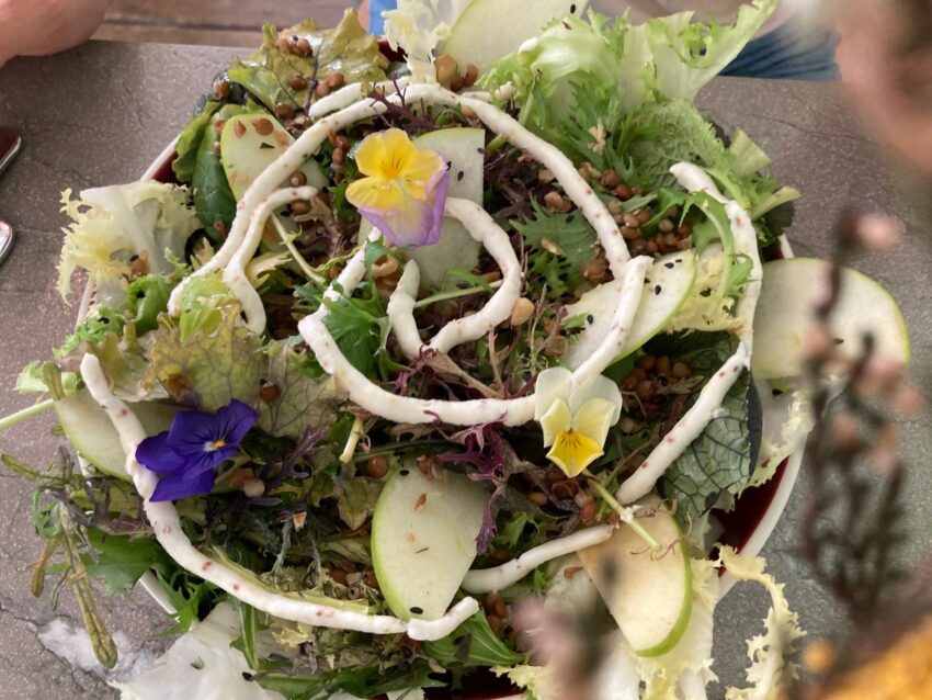 denis pizza milano insalata