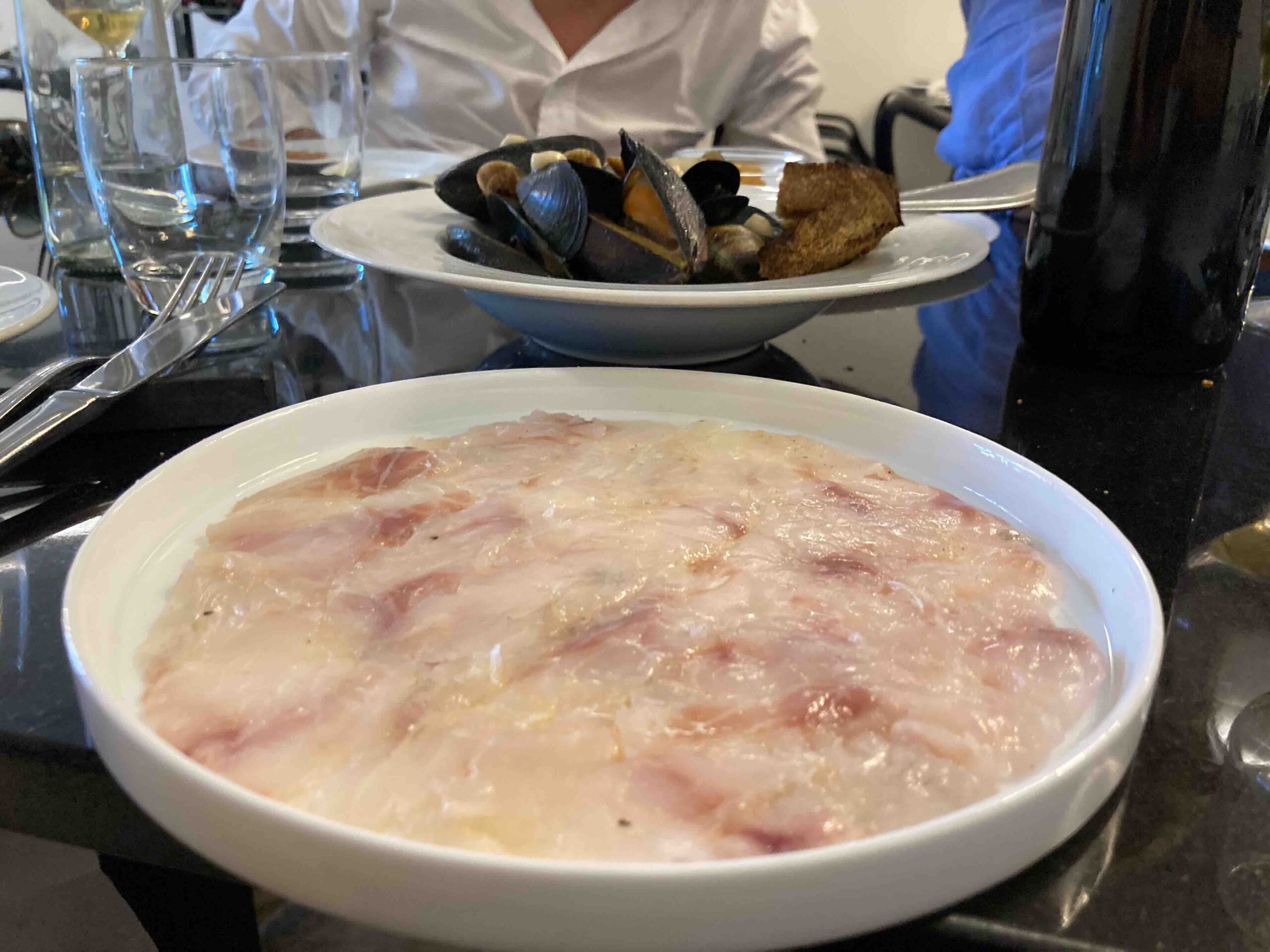 dogma roma crudo
