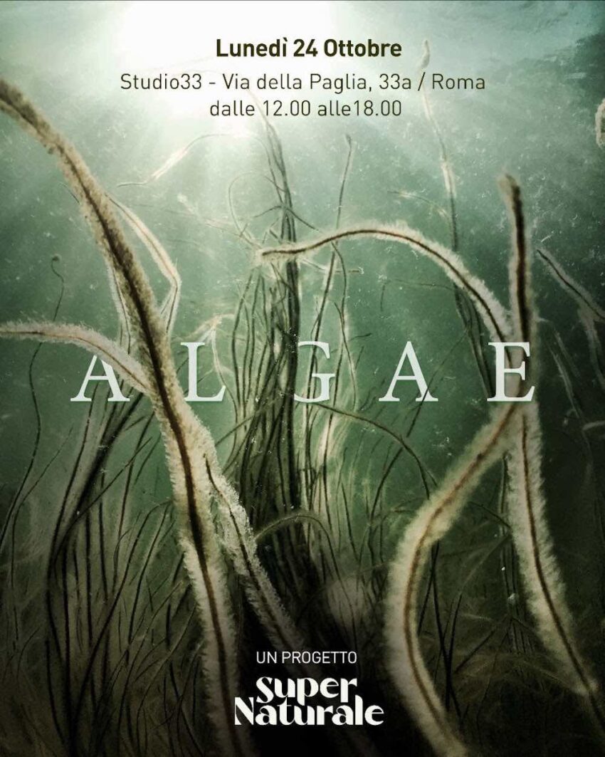 cosa fare a roma ottobre 2022 supernaturale