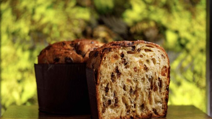 natale 2022 panettone sintesi ariccia