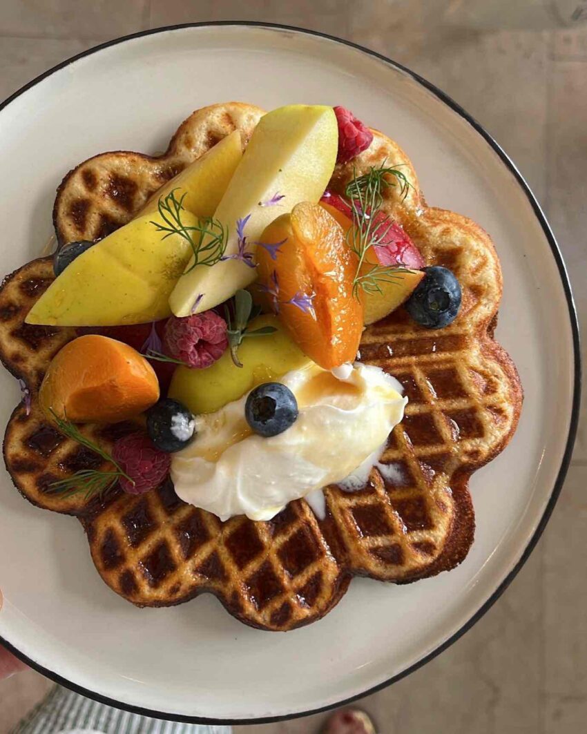 brunch roma marigold