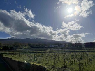 etna e vigne
