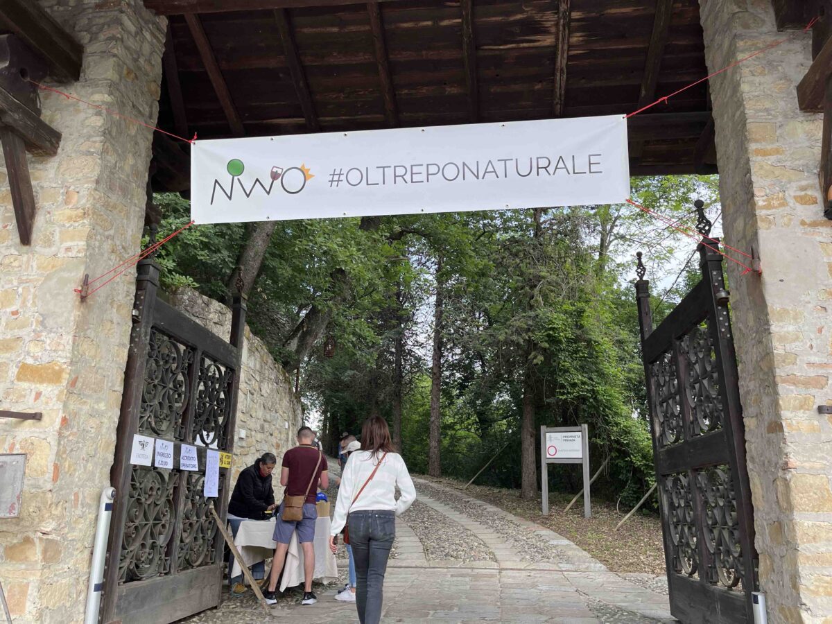 natural wine oltrepò