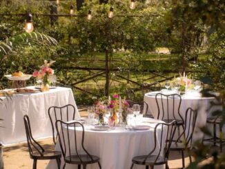mangiare nel verde a roma