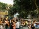 vittorio summer village roma