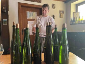 Jean Ginglinger intervista vini alsaziani